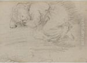 A Study Of A Sleeping Child