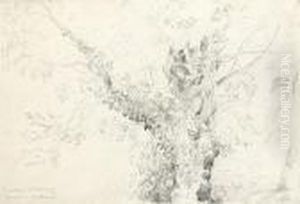 A Tree In Flatford Meadows