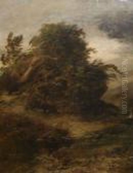Wooded River Landscape - view 1