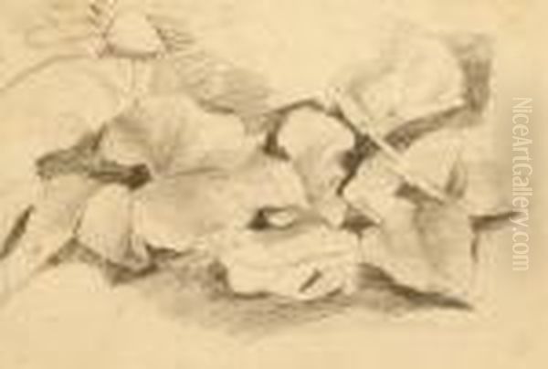 Leaf Study - view 1