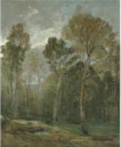 View Of A Copse