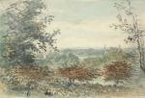 In Richmond Park - view 1