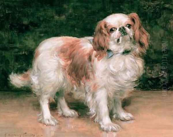 King Charles Spaniel - view 1