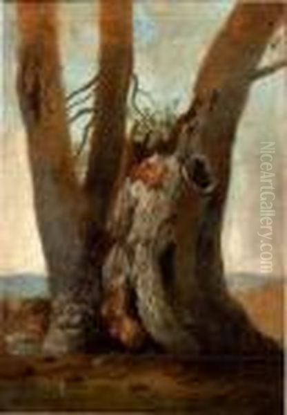 Etude D'arbre - view 1