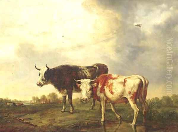 Cows in a meadow - view 1