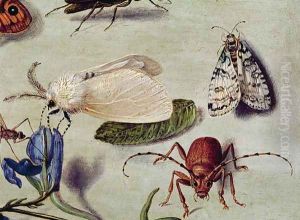 Still life detail of insects
