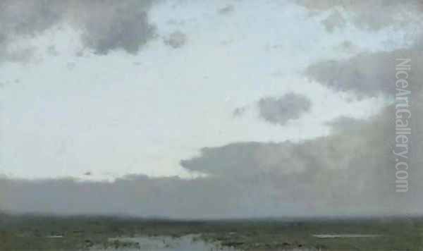 Evening a moonlit polder landscape - view 1