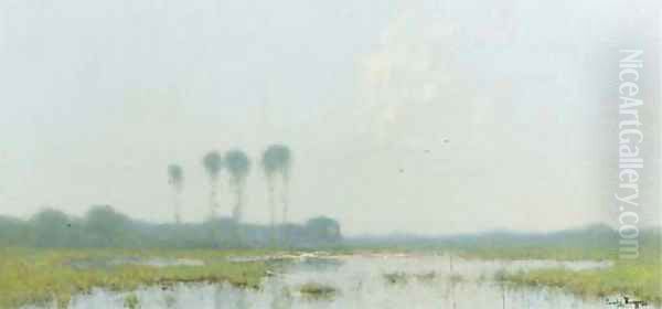 Wetlands - view 1
