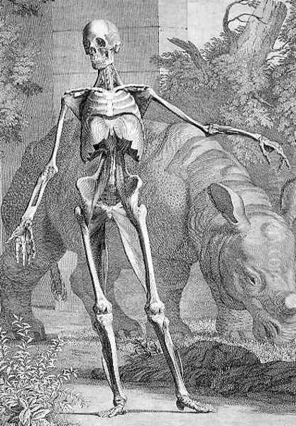 A Skeleton - view 1
