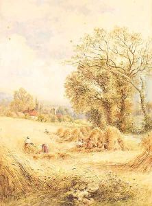 A Sussex Cornfield 2