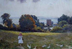 A Little Girl with Ducks in a Meadow by Joseph Kirkpatrick