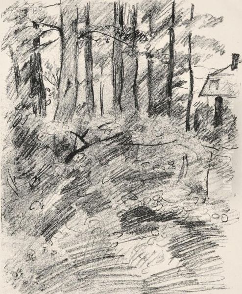 Baumlandschaft - view 1