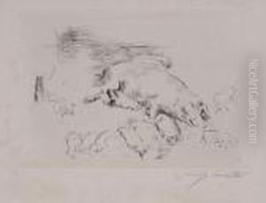 Sow And Piglets