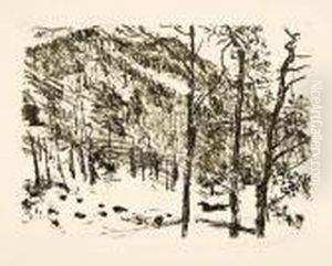 Tal-grund (blatt Der Mappe "vorfruhling Im Gebirge") by Lovis (Franz Heinrich Louis) Corinth