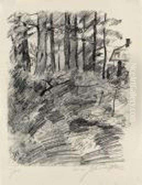 Baumlandschaft - view 1