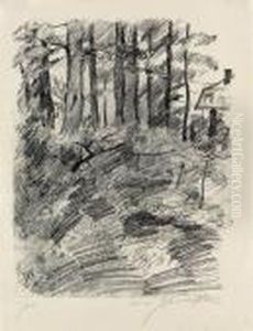 Baumlandschaft Baumlandschaft