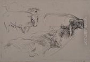 Two Animal Studies