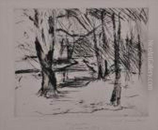 Two Forest Scenes - view 1