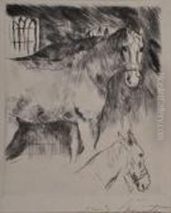 Two Animal Studies Two Animal Studies