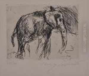 Two Animal Studies Two Animal Studies