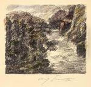 "wildbach"