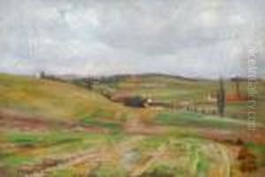 Landschaft Bei Brunshaupten An Der Ostsee