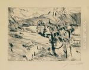 Walchensee-landschaft.