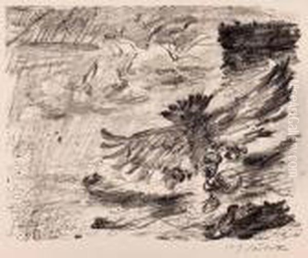 "taube Aus Sundflut" - view 1