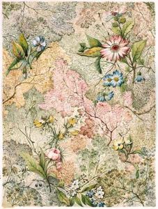 Marble end paper by William Kilburn