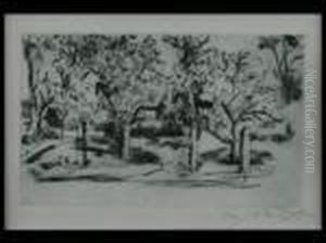 Obstgarten Obstgarten