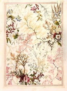Marble end paper 2 by William Kilburn