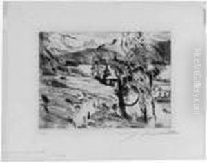 Walchensee--landschaft