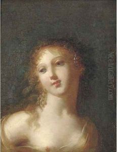Study of a classical maiden