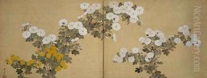 Chrysanthemums Edo period by Suzuki Kiitsu