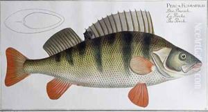 Perch by Andreas-Ludwig Kruger