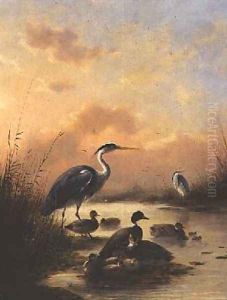 A family of Mallard and two Herons by Augustus Knip