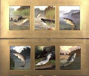Selection of Fish Paintings by A. Roland Knight