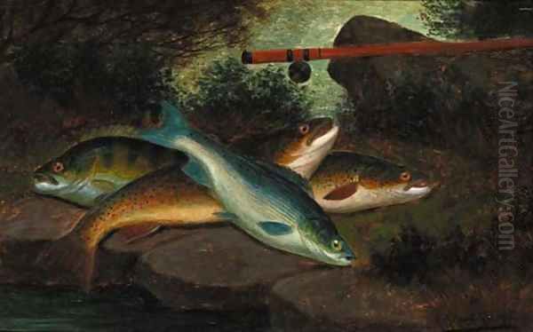 A trout, grayling and a perch - view 1