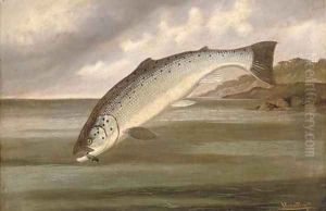 The lord of the loch by A. Roland Knight