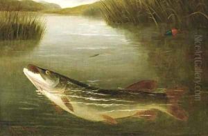 A pike on a line by A. Roland Knight