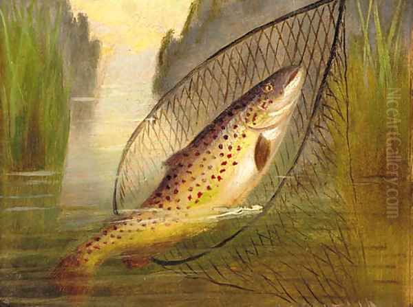 A trout in a net - view 1