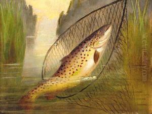 A trout in a net by A. Roland Knight