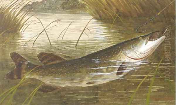 Hooking a pike - view 1