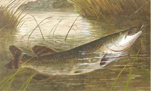 Hooking a pike by A. Roland Knight