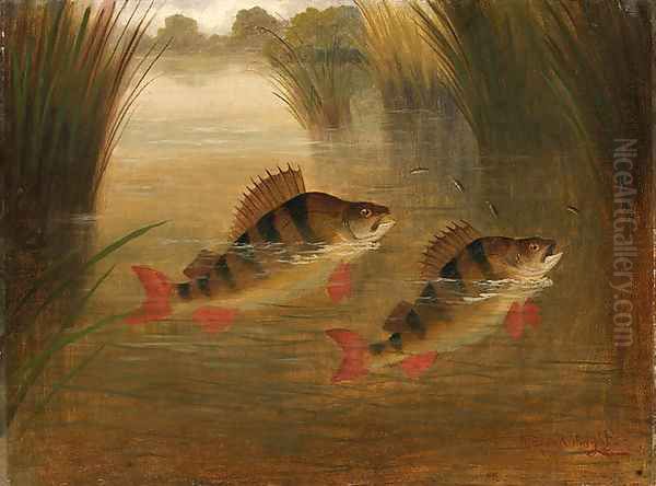 Perch Rising - view 1