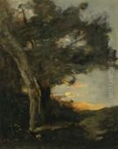 Coucher De Soleil Avec Une Lionne