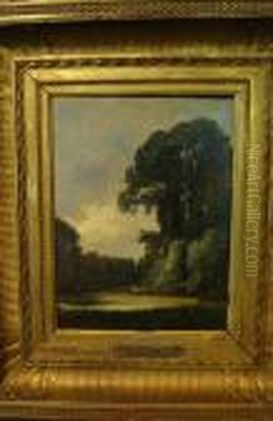Paysage - view 1