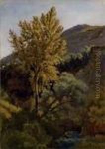 Etude D'arbre Pres D'un Torrent En Italie by Jean-Baptiste-Camille Corot