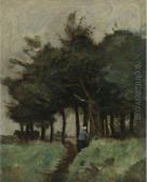Boulogne-sur-mer, Sentier Creux Domine Par Les Arbes - view 1