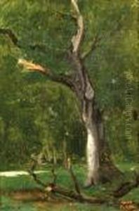 Un Arbre Mort Sous-bois by Jean-Baptiste-Camille Corot